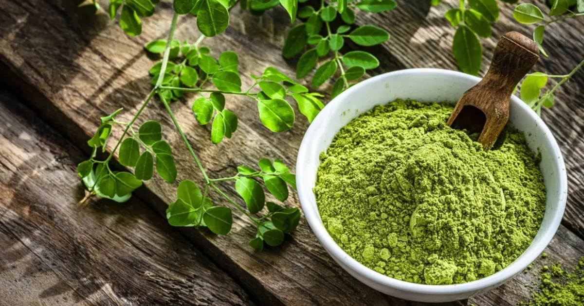 A Calm Morning Routine With Organic Moringa Powder