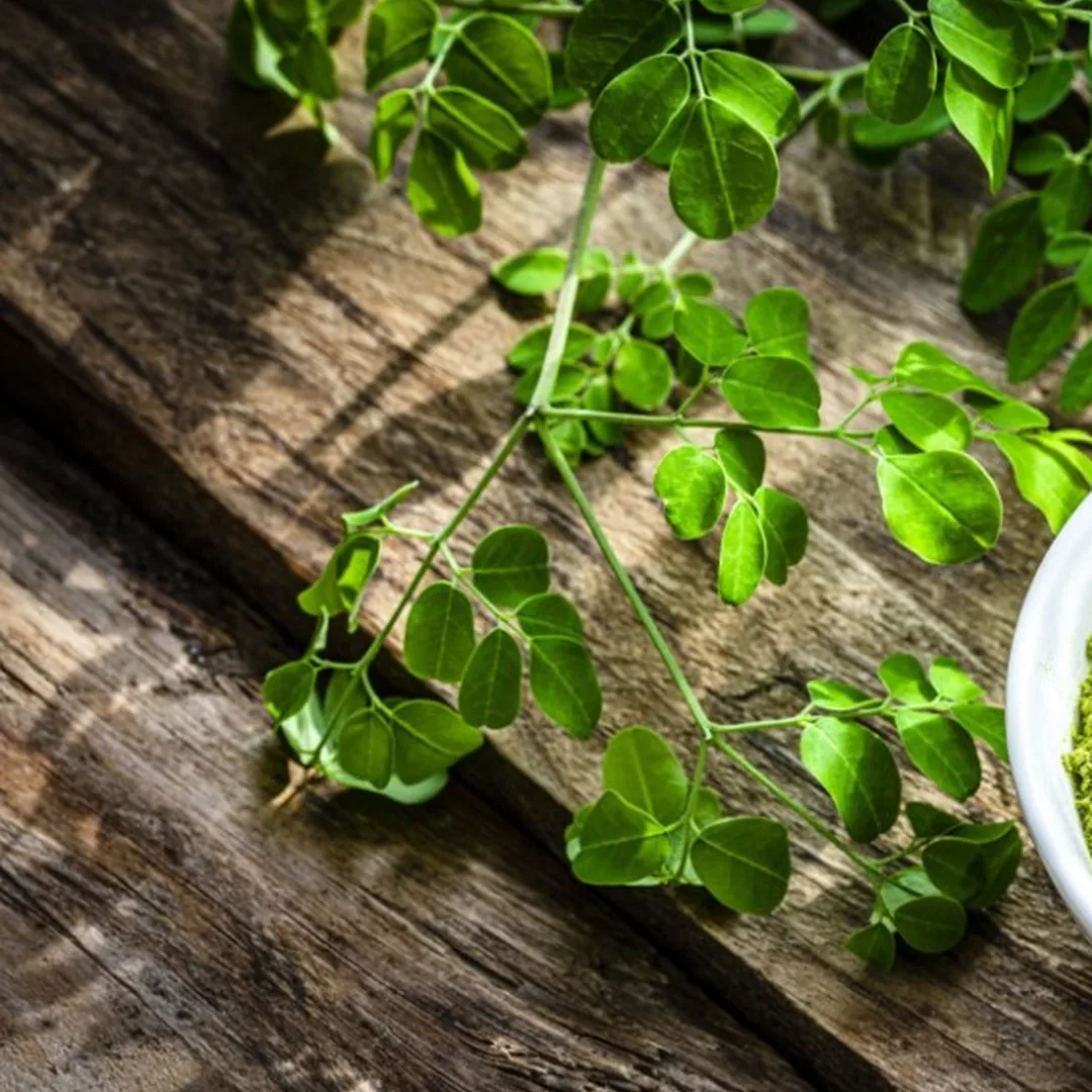 Mindful wellness moment with LeafTaste